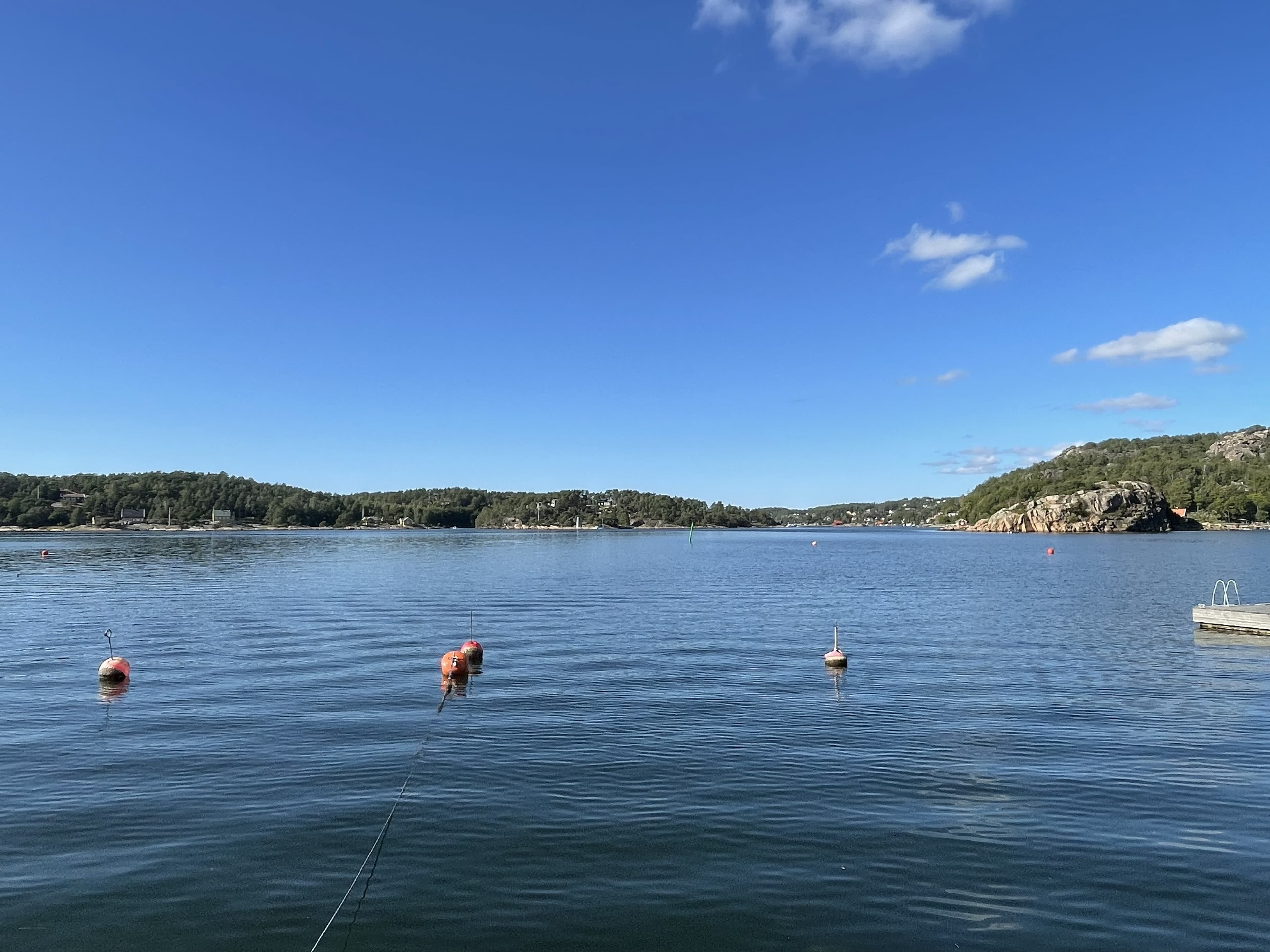 Hankøsundet sett nordover en solrik sommerdag, med fortøyningsbøyer i forgrunnen og skogkledde strender på andre siden.
